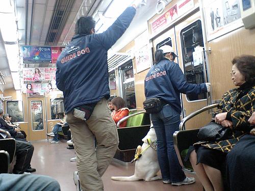 周囲の状況の画像